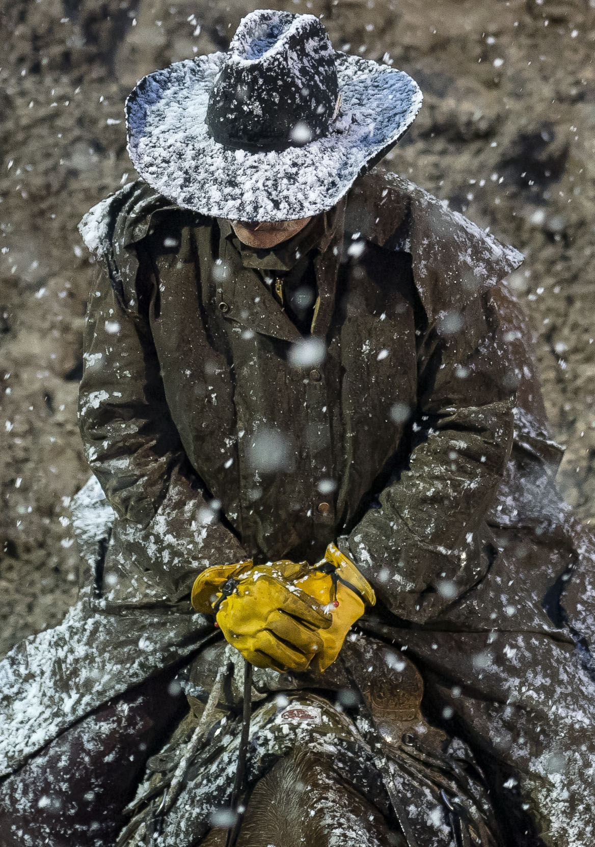 Jackson Hole Rodeo